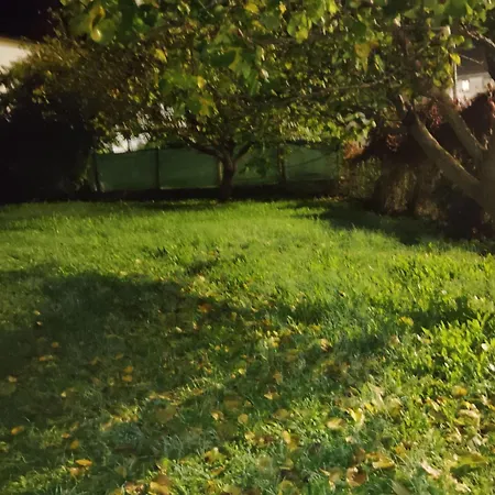 Room Bed & Boat Berra