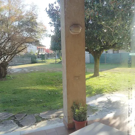 Bed & Breakfast Bed Bike *