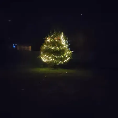 Room Bed & Boat Berra