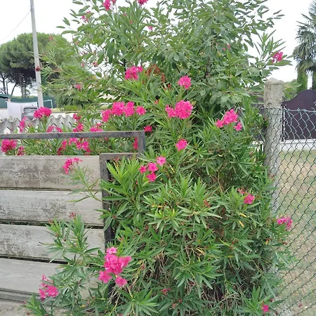 Room Bed & Boat * Berra