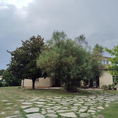 Bed Bike Bed & Breakfast *