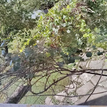 Room Bed & Boat Panzió