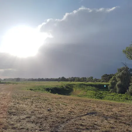 Bed & Breakfast Bed Bike *