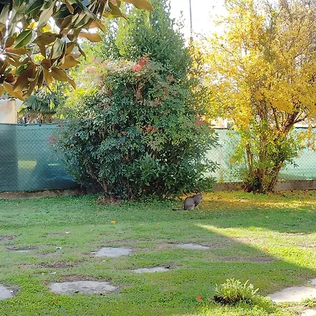 Panzió Room Bed & Boat Berra