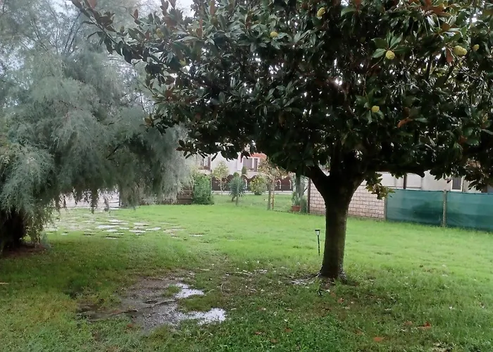 Room Bed & Boat Berra