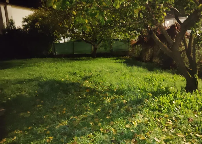 Room Bed & Boat Berra