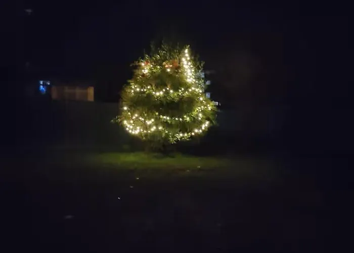 Room Bed & Boat Berra