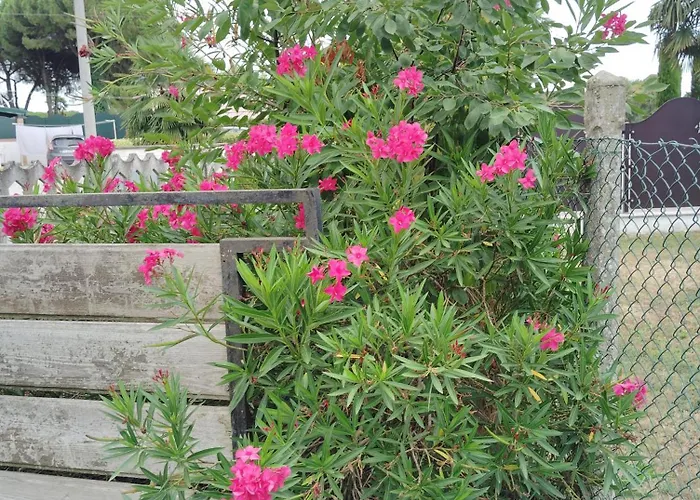 Room Bed & Boat * Berra