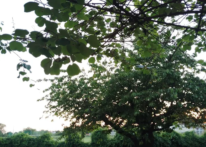 住宿加早餐酒店 Room Bed & Boat *