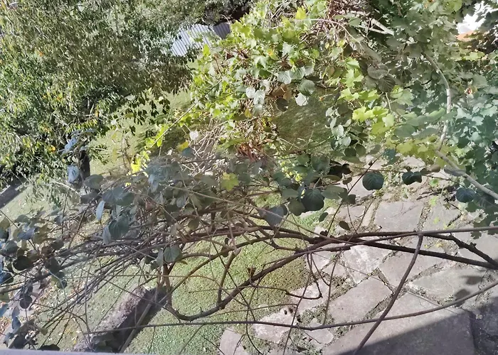 Room Bed & Boat 住宿加早餐酒店