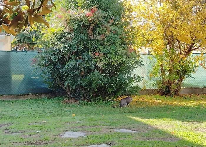 Couette-café Room Bed & Boat Berra